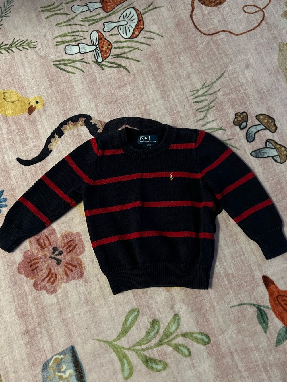 Polo by Ralph Lauren Crewneck Sweater with Red Stripes
